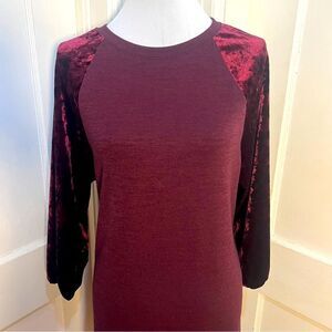 Vintage! 90's GAP Women's Medium Wine Crewneck Velvet Sleeve Shift Dress Fall!
